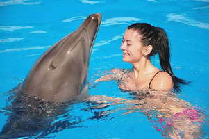 Swimming with the Dolphins