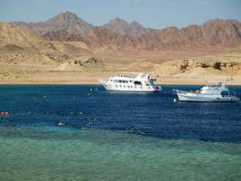 Ras Mohammed and White Island By Boat