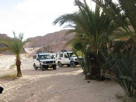 Super safari by jeep