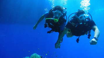 Intro Dive in Ras Mohammed