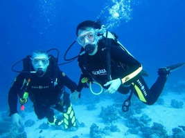 Diving in Sharm El Sheikh