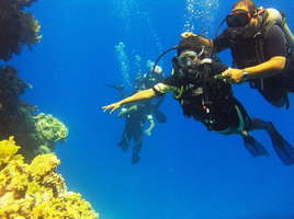 Intro Dive in Tiran Island