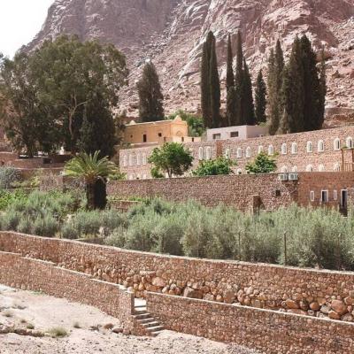 St Catherine Monastery Garden