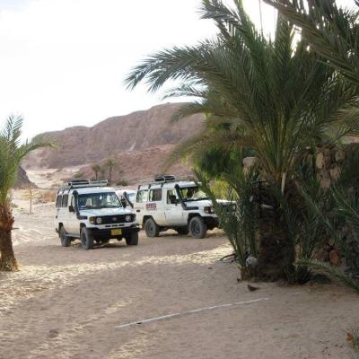 Jeeps In Sharm