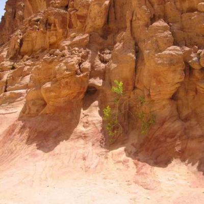 Colored Canyon In Sinai