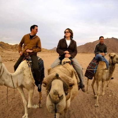 Walk On Camels