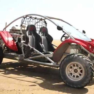 Buggy Egypt