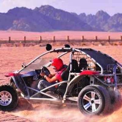 Buggy In Sharm