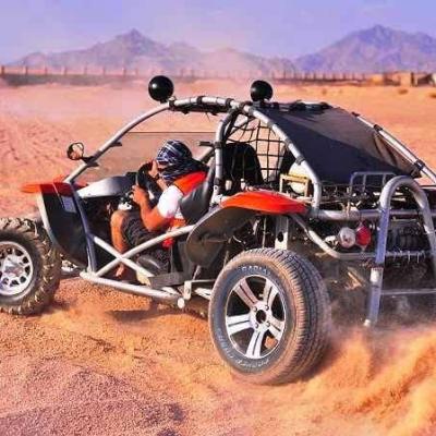 Safari By Buggy