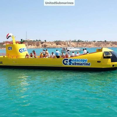 Seascope Submarine