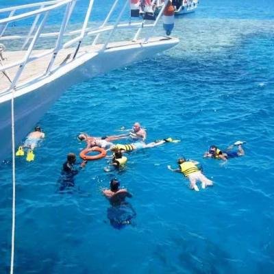 Tiran Island Snorkeling