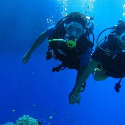 Intro Dive Egypt