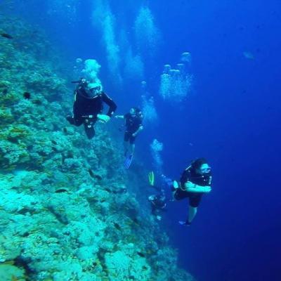 Diving