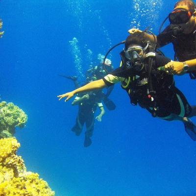Your First Intro Dive