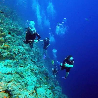 Diving