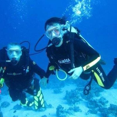 Excursions Sharm
