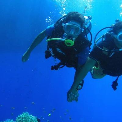 Intro Dive Egypt