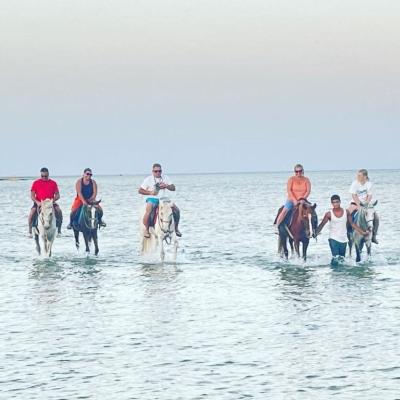 Horse Riding In Sharm El Sheikh