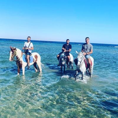 Horseback Riding In Desert