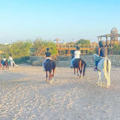 Horseback Riding Excursion Sharm El Sheikh