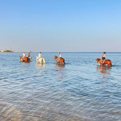 Horseback Riding Tour Sharm El Sheikh