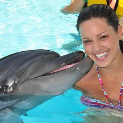 Dolphin Kiss