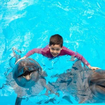 Swimming With Dolphins Kid
