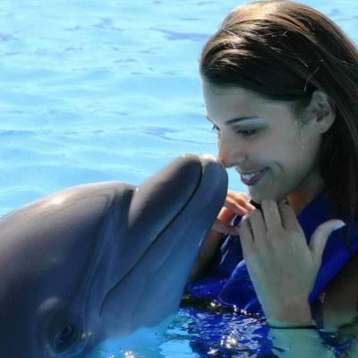Swimming With Dolphins