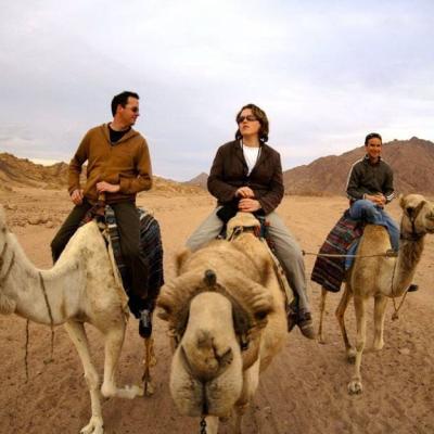 Walk On Camels