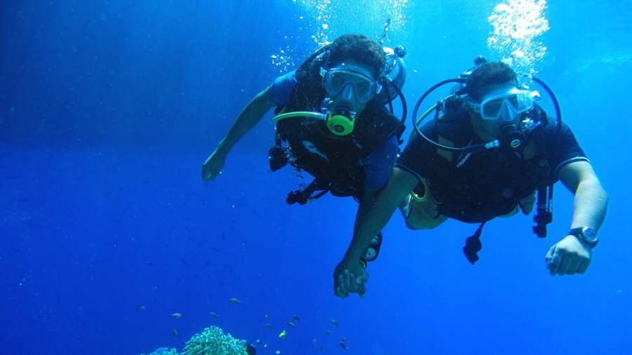 Intro Dive in Ras Mohammed
