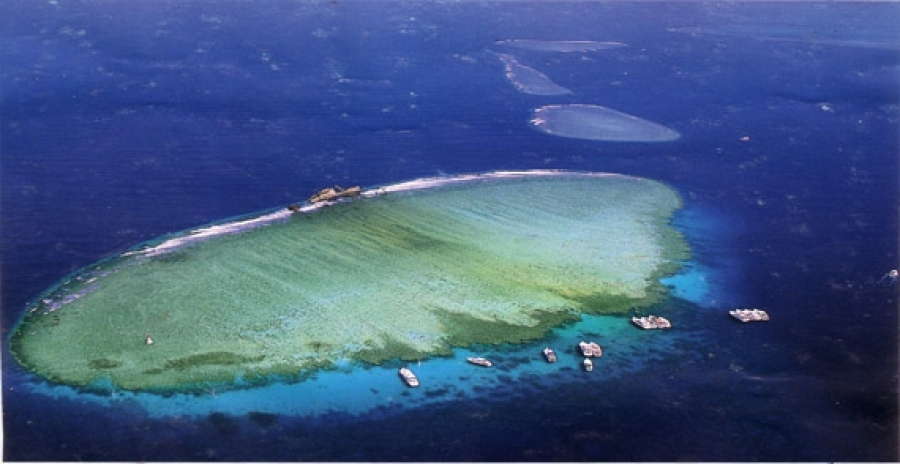 Tiran Island By Boat