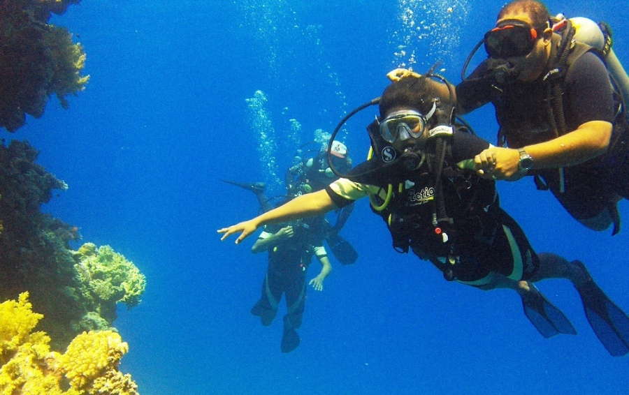 Intro Dive in Tiran Island